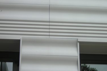 DSCN5622