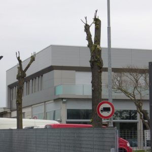 P1020124